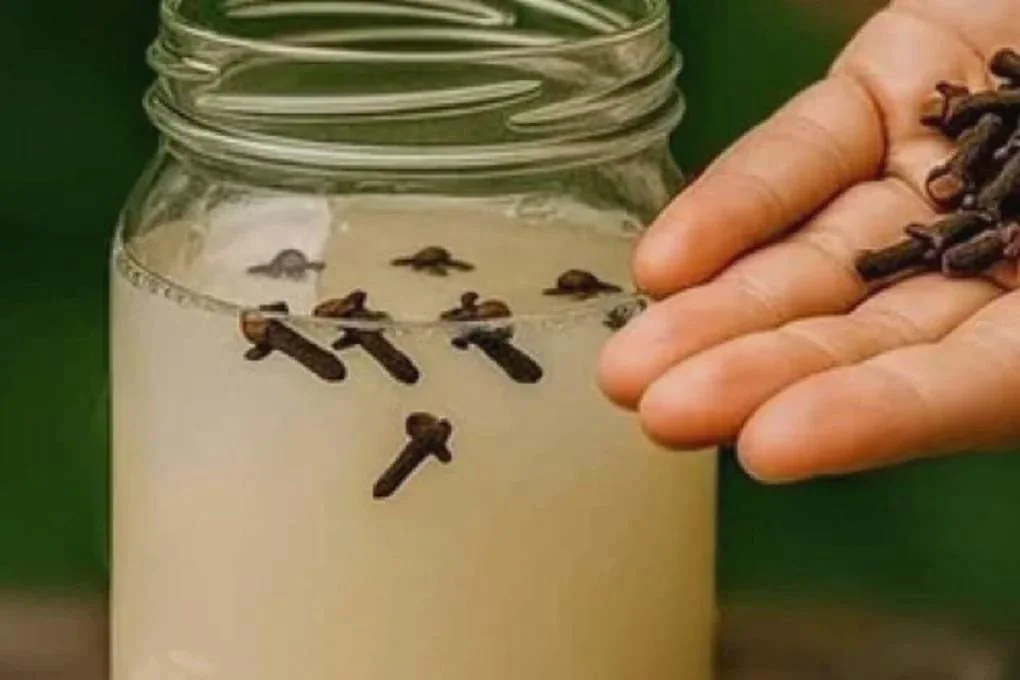 Een glazen pot met een aftreksel van kruidnagels en daarnaast een hand met hele kruidnagels