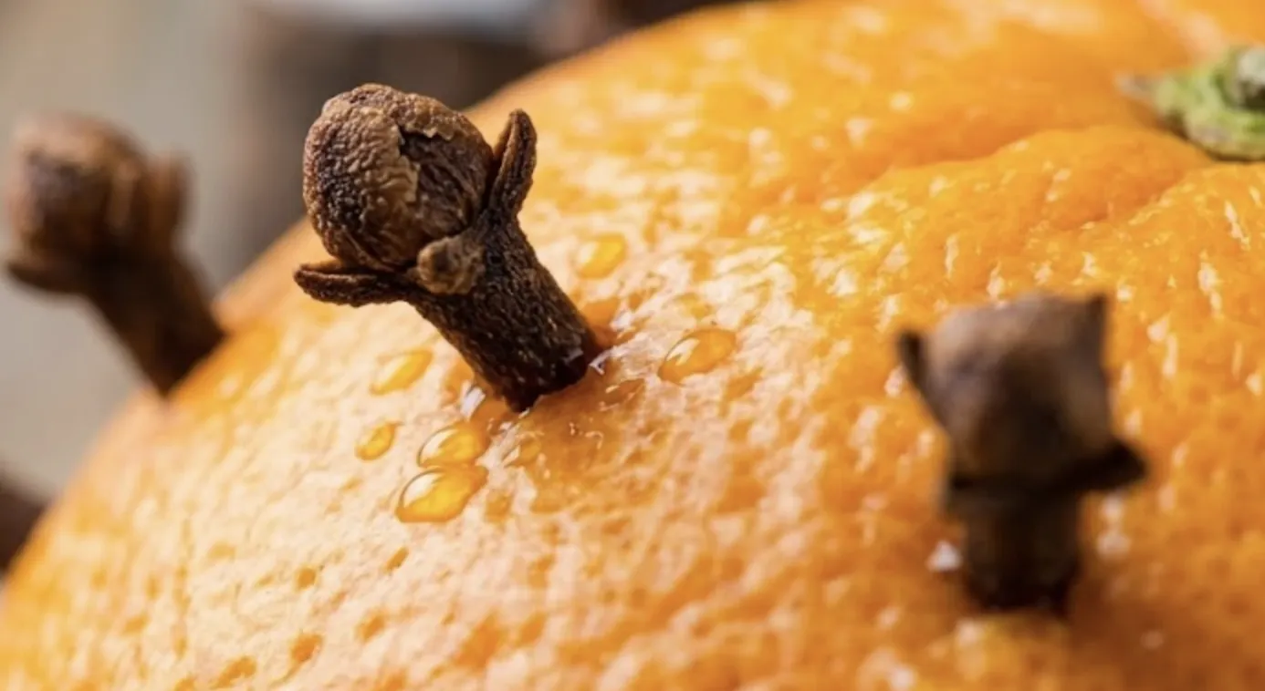 Kruidnagels in de schil van een citrusvrucht geprikt — het bekende huis-tuin-en-keukenmiddel tegen insecten